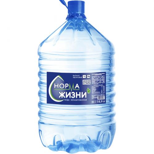 Вода питьевая "Норма жизни" 19л в одноразовой таре